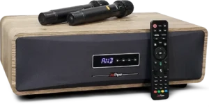 plug and play karaoke system