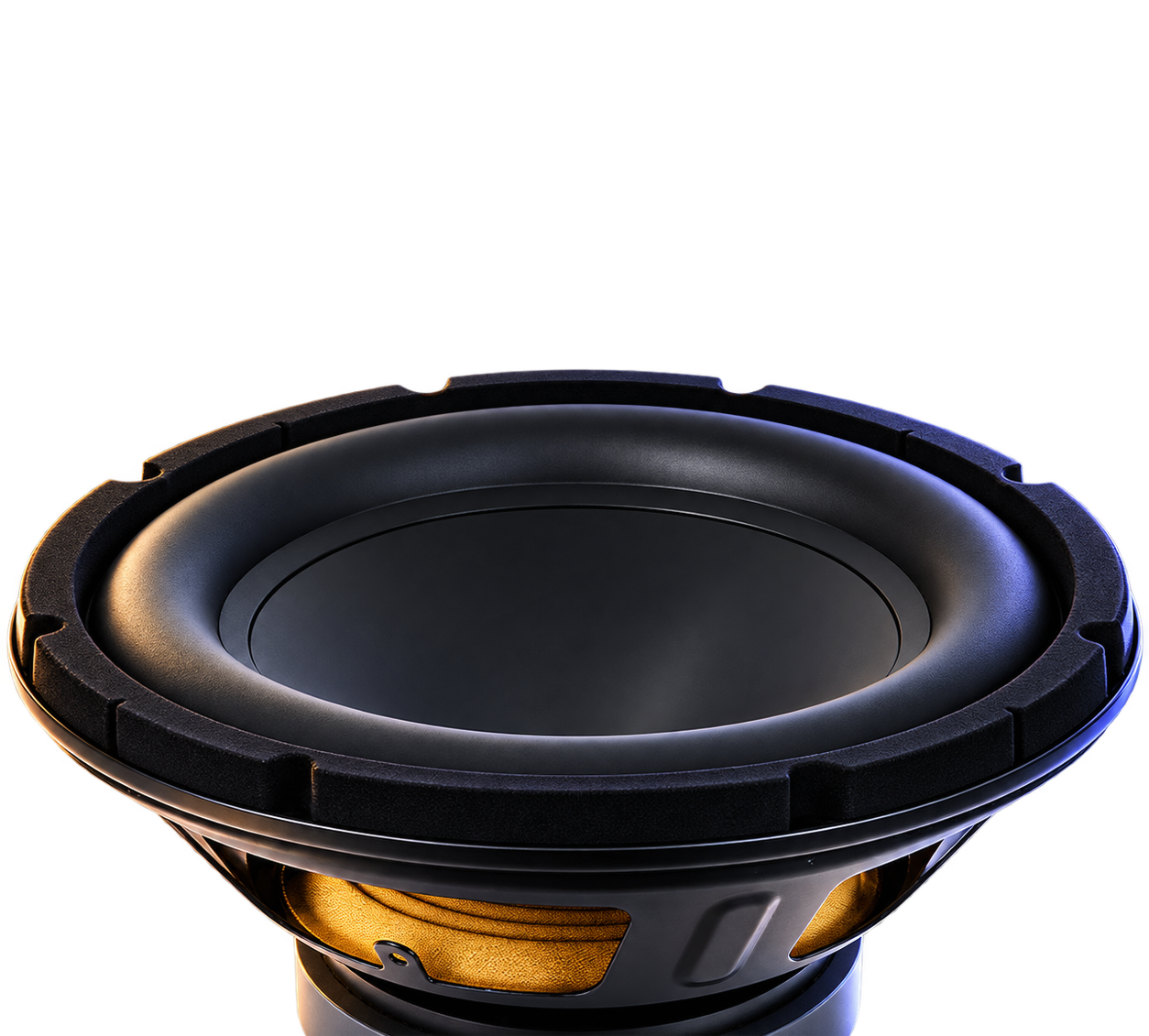 PRO X down-firing subwoofer
